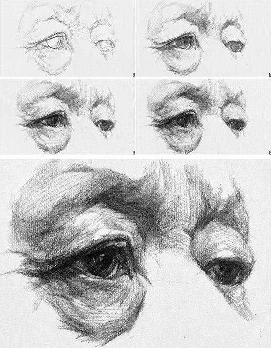 Discover the World of Drawing: An Artistic Adventure by Hand