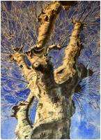 Our services in the sector of Rustrel 84440 near of Apt